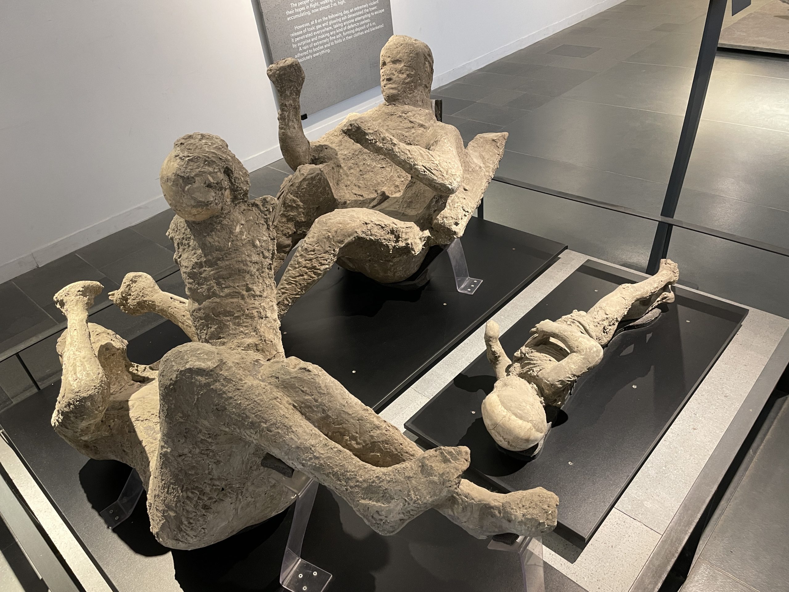 The casts of the victims created by pouring plaster into the hollows left by the bodies give a hauntingly realistic depiction of the tragedy that unfolded during the eruption.