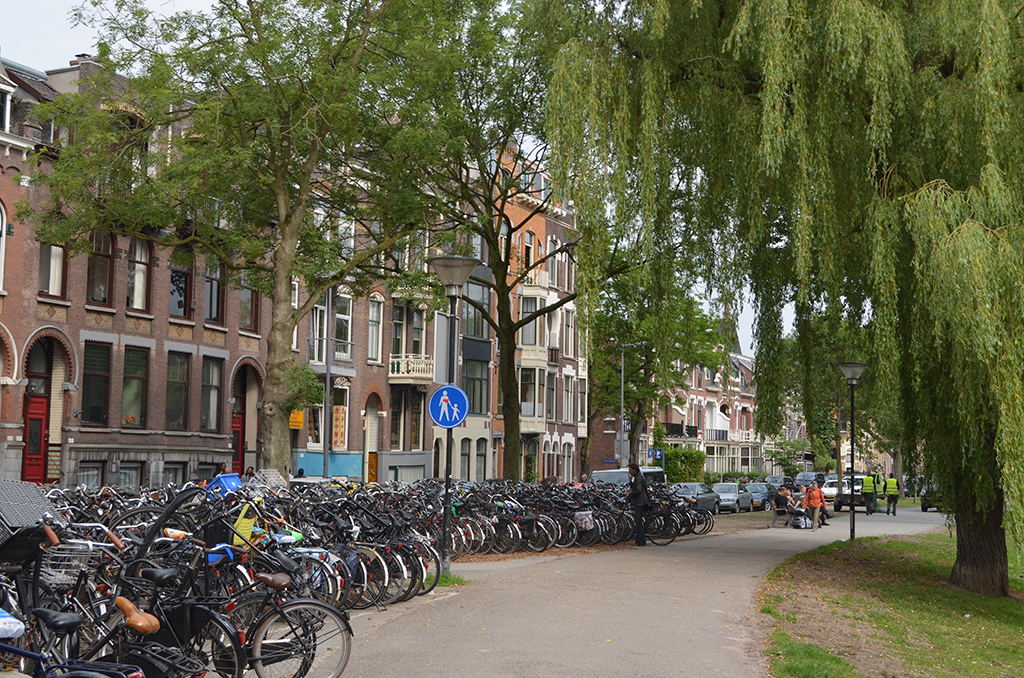 Bicycles and scooters. A way of life in Rotterdam.