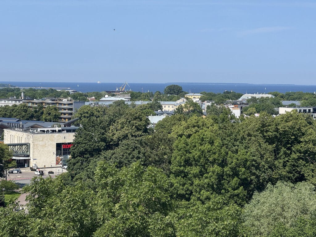 Tallinn old town view point