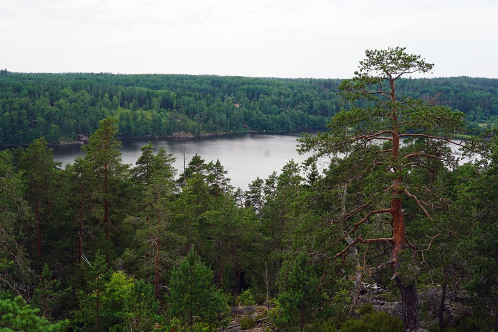 Nuuksio lake