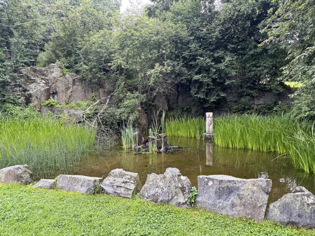 The pond in Observatory Hill Park with the Torso sculpture among the reeds