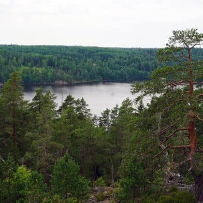Nuuksio lake